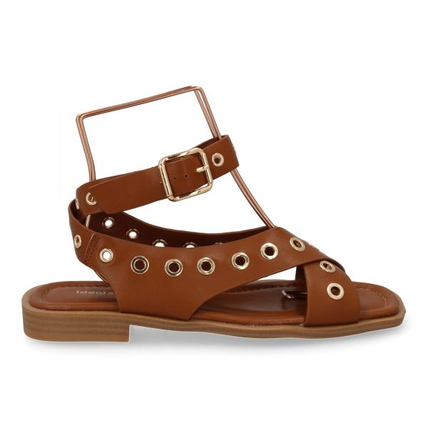 2287-Camel