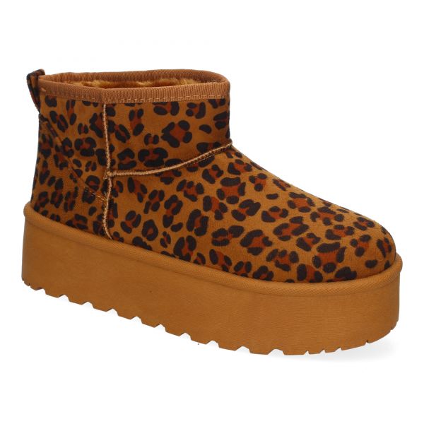 6BKA-Leopardo
