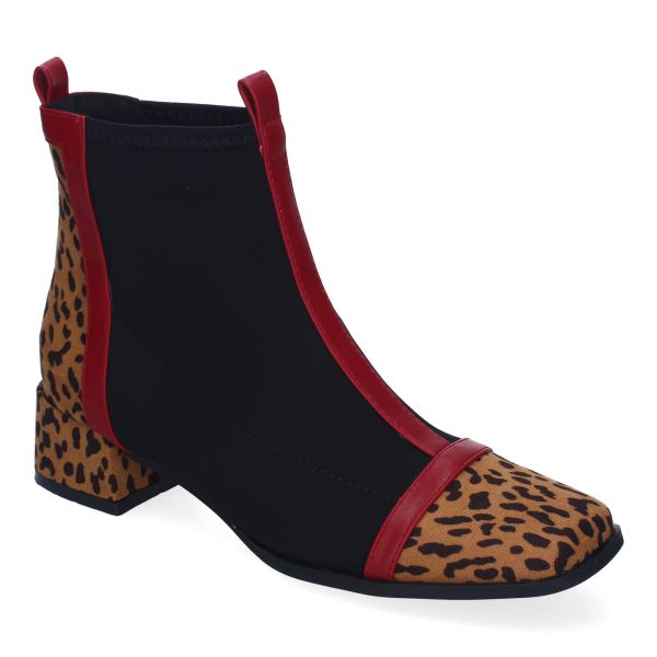 A-3446-Leopardo