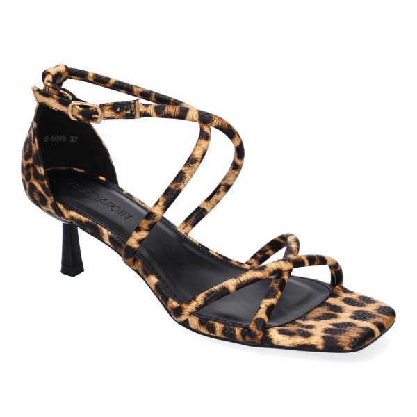 B-5099-Leopardo