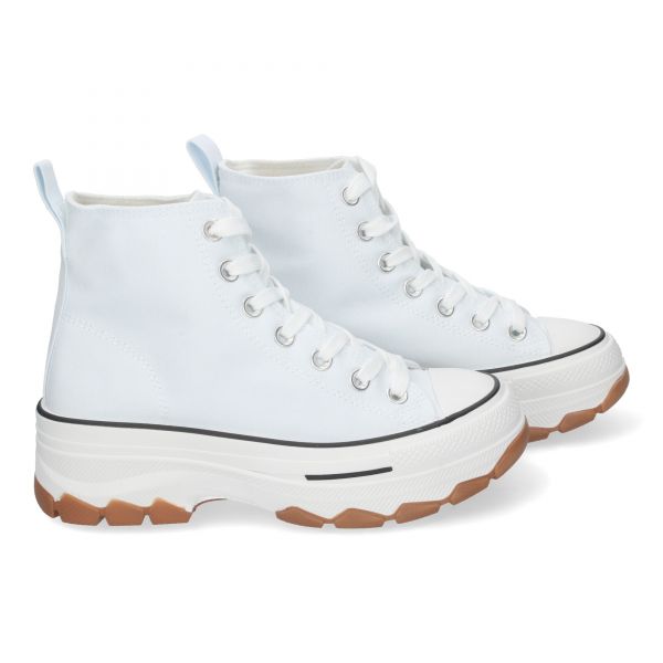 EV-100-Hielo