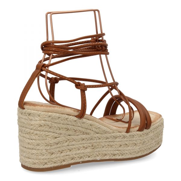 JNS336-Camel