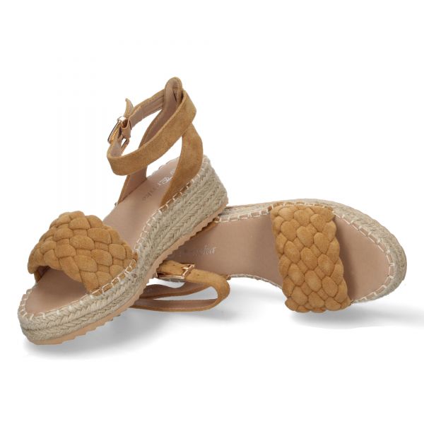 JSZ179-Camel
