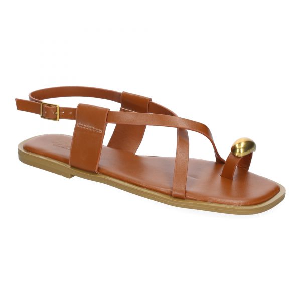 TC-1U1-Camel