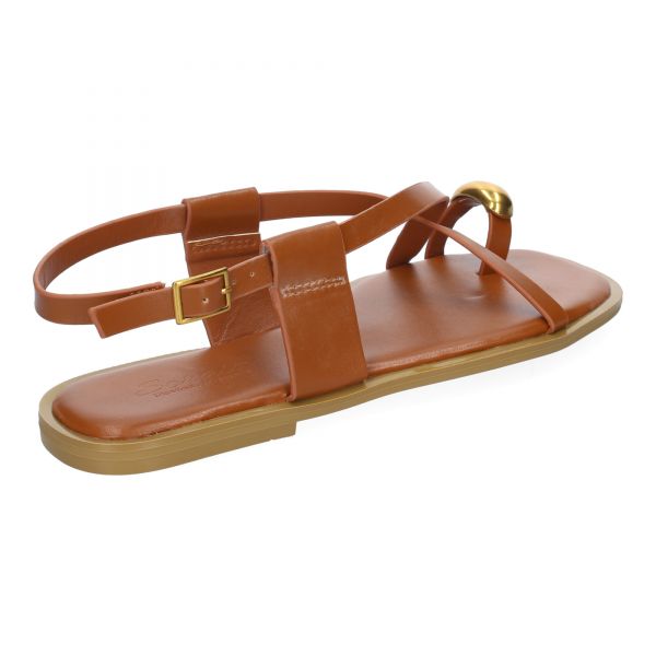 TC-1U1-Camel