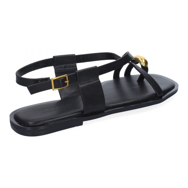 TC-1U1-Negro