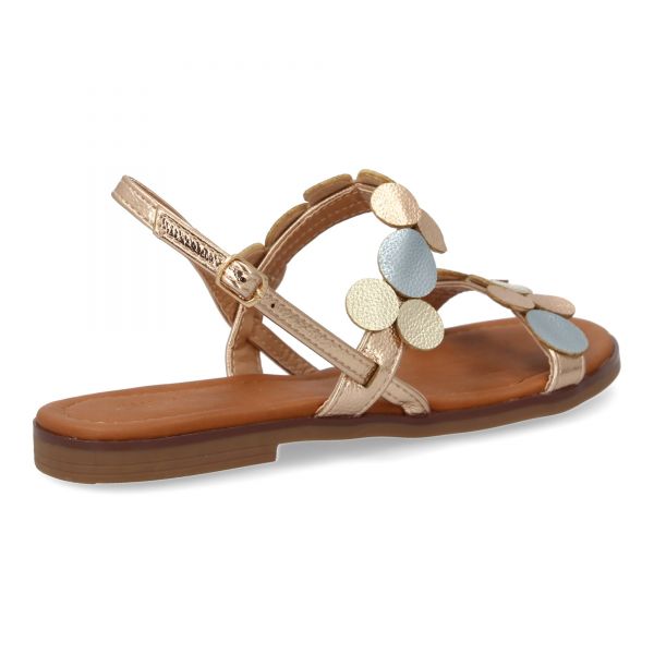W-5289-Champan