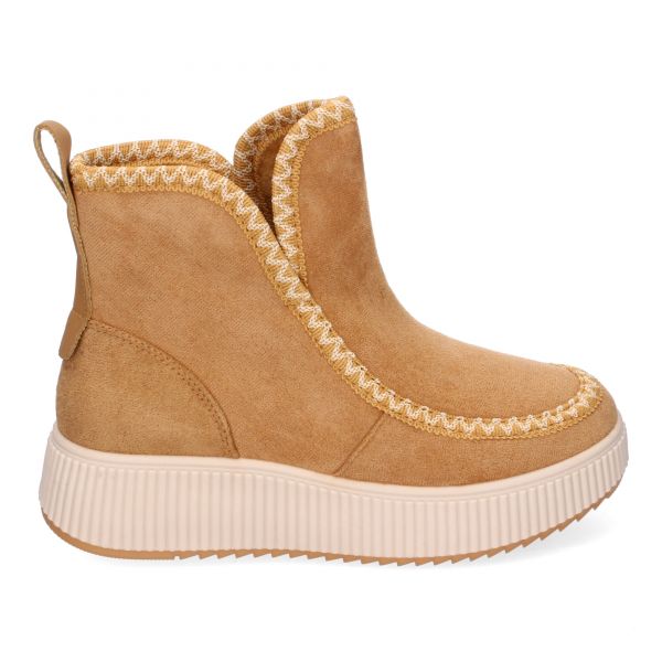 YY-20-Camel