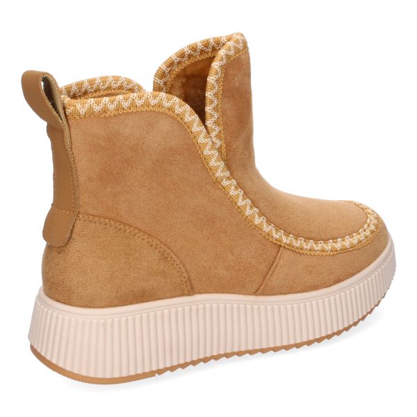 YY-20-Camel
