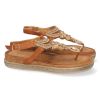 1AF-1669-Camel