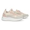 CD-2490-Rosa