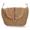CL13026-Camel
