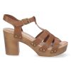 DB-2353-Camel