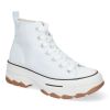 EV-100-Hielo
