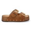 L-5323-Camel