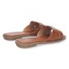 TF3106-Camel