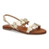 W-5289-Oro