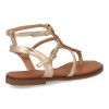 W-5290-Champan