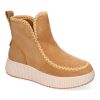 YY-20-Camel