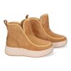 YY-20-Camel